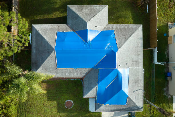 Best Chimney Flashing Repair  in Tuscola, IL