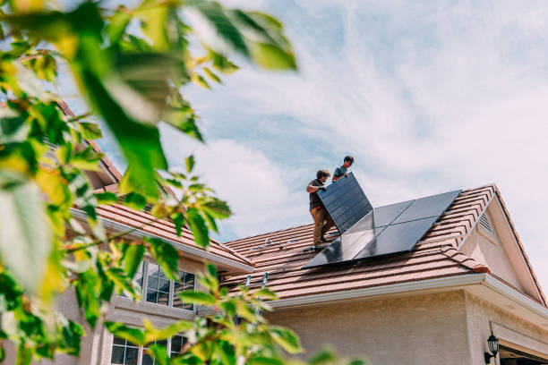 Best Roof Insulation Installation  in Tuscola, IL