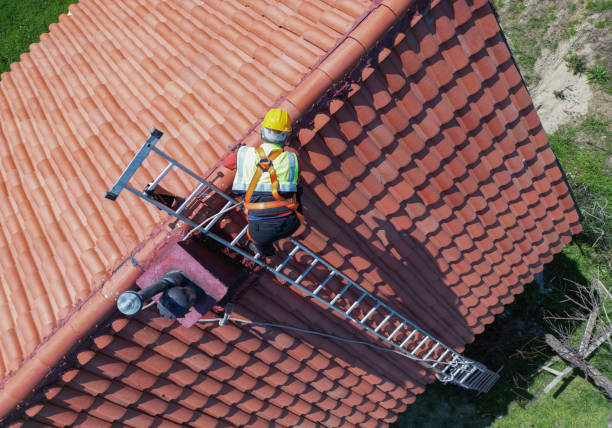Best Rubber Roofing (EPDM, TPO)  in Tuscola, IL